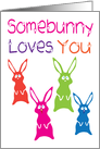 Somebunny loves you, Colourful easter bunnies card