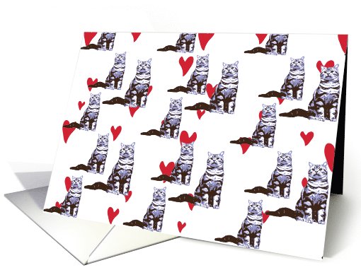 hearts and kittens card (886844)