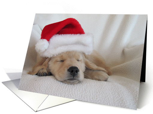 Christmas Golden Retriever Puppy Sleeping in Santa Hat card (881901)