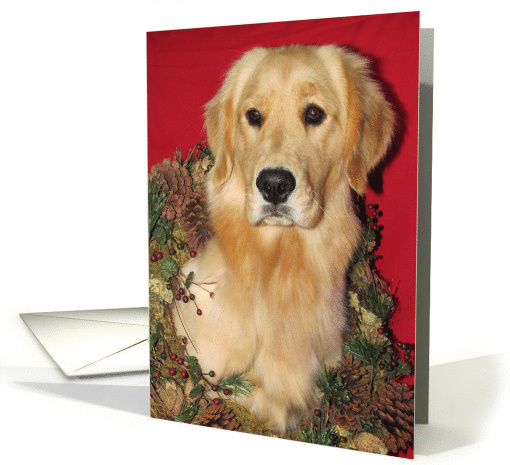 Christmas - Golden Retriever with wreath card (881904)