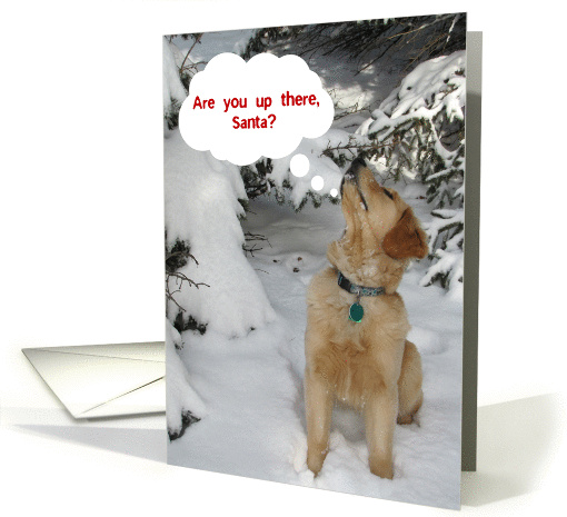 Christmas, Golden Puppy in Snow card (882001)