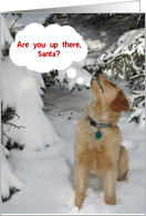 Christmas, Golden Puppy in Snow card
