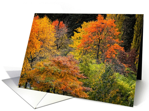 Enchanted Forest Blank Note card (1081000)