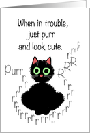 Encouragement: When in Trouble, Just Purr and Look Cute card