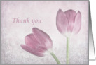 Thank you, Two Lavender Tulips on pastel background card