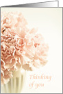 Thinking of You, Pink Carnations, Dreamy Pastel card