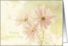 Happy Mother’s Day blank card with soft, pastel daisies in a jar card