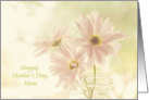 Happy Mother’s Day, Mom with daisies in a jar, pink pastel card
