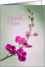 Thank You Blank Notecard, Purple Orchid. Dreamy, Pastel Background card