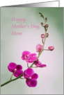 Happy Mother’s Day, Mom, Blank Inside, Purple Orchid card
