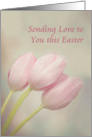 Sending Love to You This Easter, pink tulips with water drops on a pastel background card