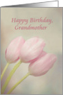 Happy Birthday, Grandmother with soft pink pastel tulips card