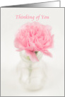 Soft Pink Carnation in Vase, Thinking of You card