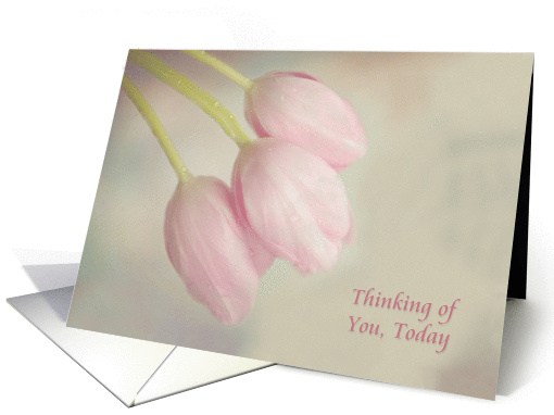 Thinking of You, Three pink tulips with water drops in Pastel card