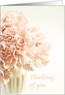 Thinking of You, Pink Carnations, Dreamy Pastel card