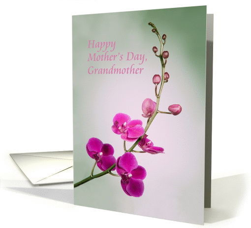 Happy Mother's Day, Grandmother, Blank Inside, Purple Orchid card