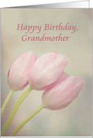 Happy Birthday, Grandmother with soft pink pastel tulips card