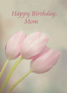 Happy Birthday, Mom...