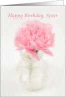 Soft Pink Carnation in Vase, Happy Birthday Sister card