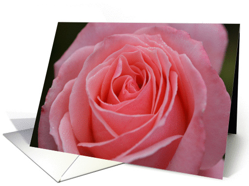 Pretty in Pink card (889914)