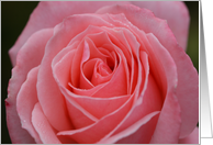 Pretty in Pink card