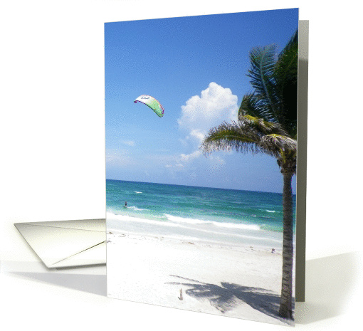 Thank You, Kite Surfing at Tulum Beach - Palm tree and... (891449)