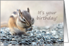 Chipmunk Eating Outdoor Birthday Card