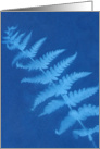 Blue Fern Sun Print Note Card