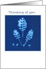 Blue Plant Sun Print Thinking of You Card