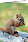 Red Squirrel Humor Friend Birthday Card
