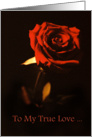 Dark Red Rose True Love Gothic Emo Card