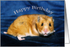 Smiling Caramel Hamster Happy Birthday Card
