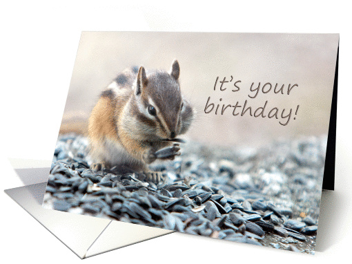 Chipmunk Eating Outdoor Birthday card (1104392)