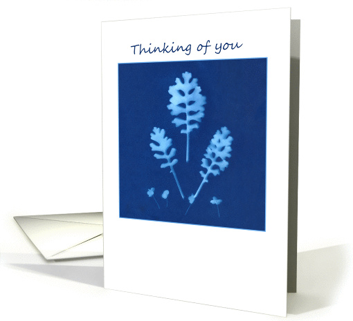 Blue Plant Sun Print Thinking of You card (1305200)