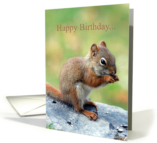 Red Squirrel Humor Friend Birthday card (906108)