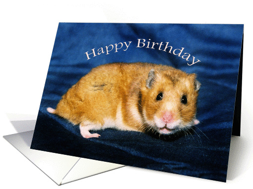 Smiling Caramel Hamster Happy Birthday card (913811)
