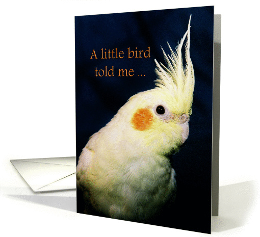 Yellow Cockatiel Bird Birthday card (913814)