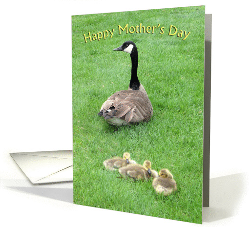 Goose with Goslings Mother's Day card (923425)