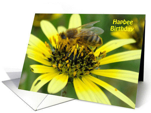 Happy Birthday - Flower & Bee card (892159)