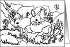 Garden bunnies coloring book Card