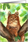 Lynx bobcat blank Card