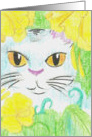 Peeking Cat Card