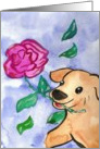 Dog and a rose Card