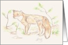 Red fox animal Card