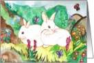 Summer bunnies blank Card