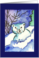 Little polar bear, blank inside card