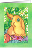 Little Bunny Happy Easter card