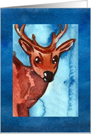 Little Deer Happy Birthday card