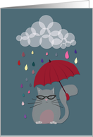 Let it Rain - Cat...