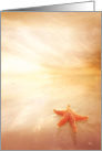 Radiant Beach Starfish Love card